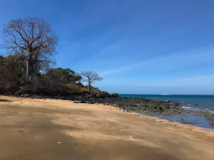 comparution immédiate, guerre entre villages à Mayotte