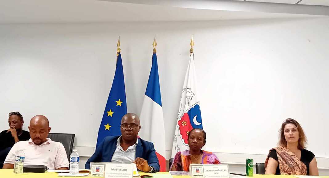 conseil départemental de Mayotte, protection de l'enfance de Mayotte, observatoire de la protection sociale de Mayotte, MDPH de Mayotte, PMI de Mayotte