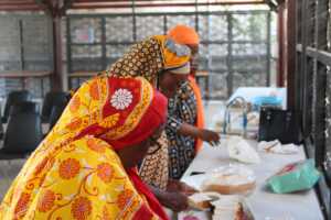 Mayotte, ADESFEM, femmes, entreprenariat, artisanat, agriculture, FIPA, Sénégal,