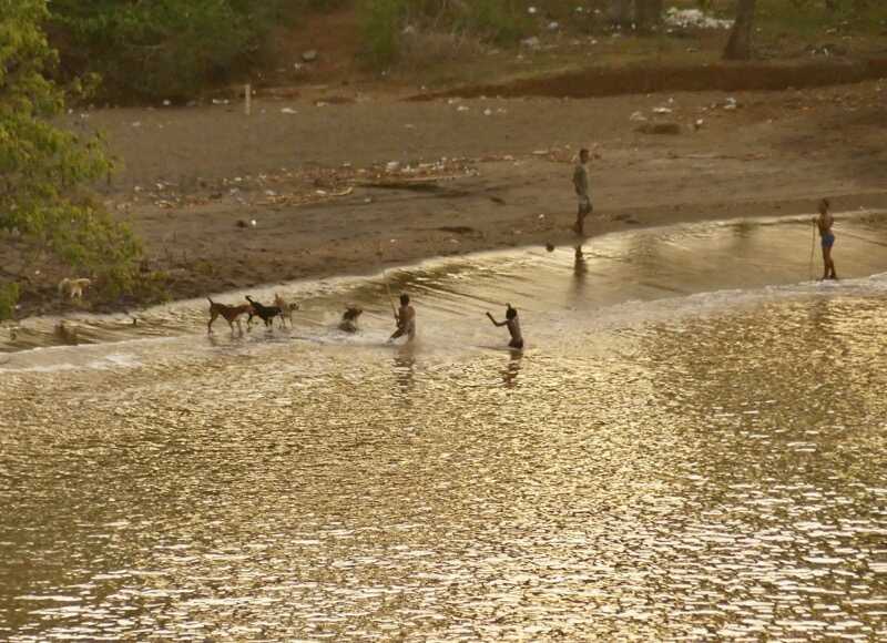 Plan chien, Mayotte, Stéphane Lamart