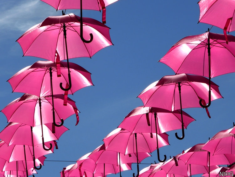 Mayotte, octobre rose, parapluie, cancer du sein, ciel,