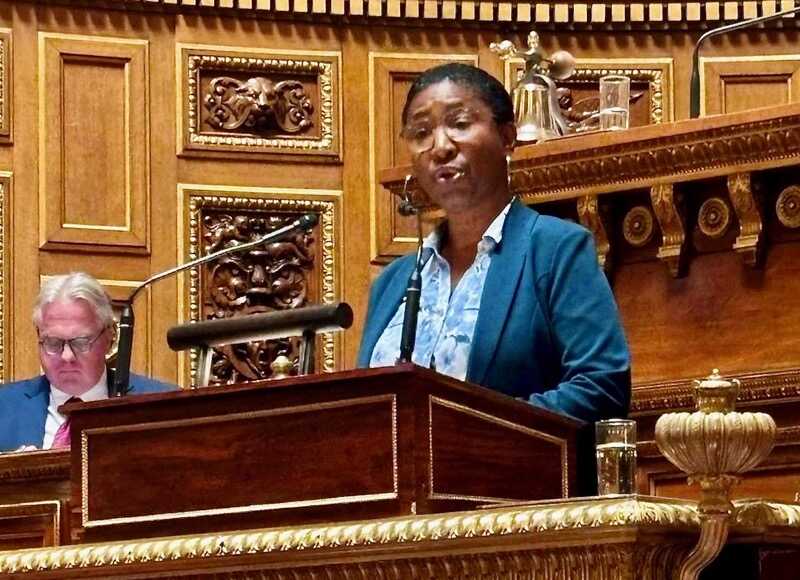 Sénat, RDPI, Salama Ramia, Mayotte, Nouvelle-Calédonie