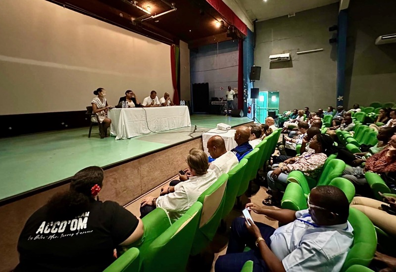 ACCD'OM, Mayotte, Guadeloupe, Sénat, Bruno Le maire, Cazenave