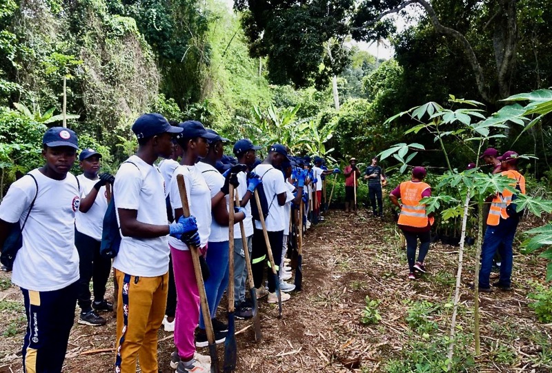 Aux arbres citoyens, Mayotte, Les naturalistes, FNE