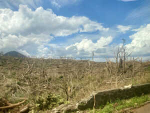 Mayotte, cyclone, chido, paysage, réparation, nature,