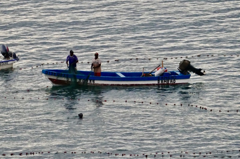 CSSM, URSSAF, Mayotte, retraite, indépendant