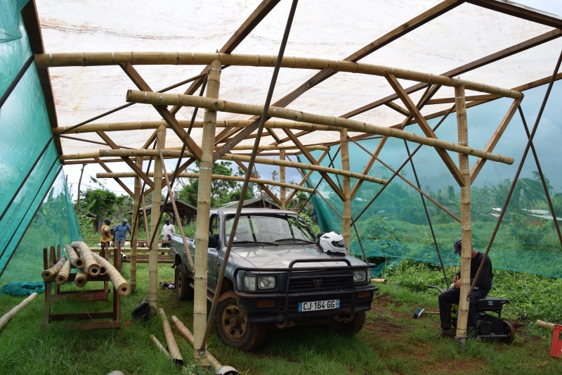 agriculture, bambou, serre, lycée agricole