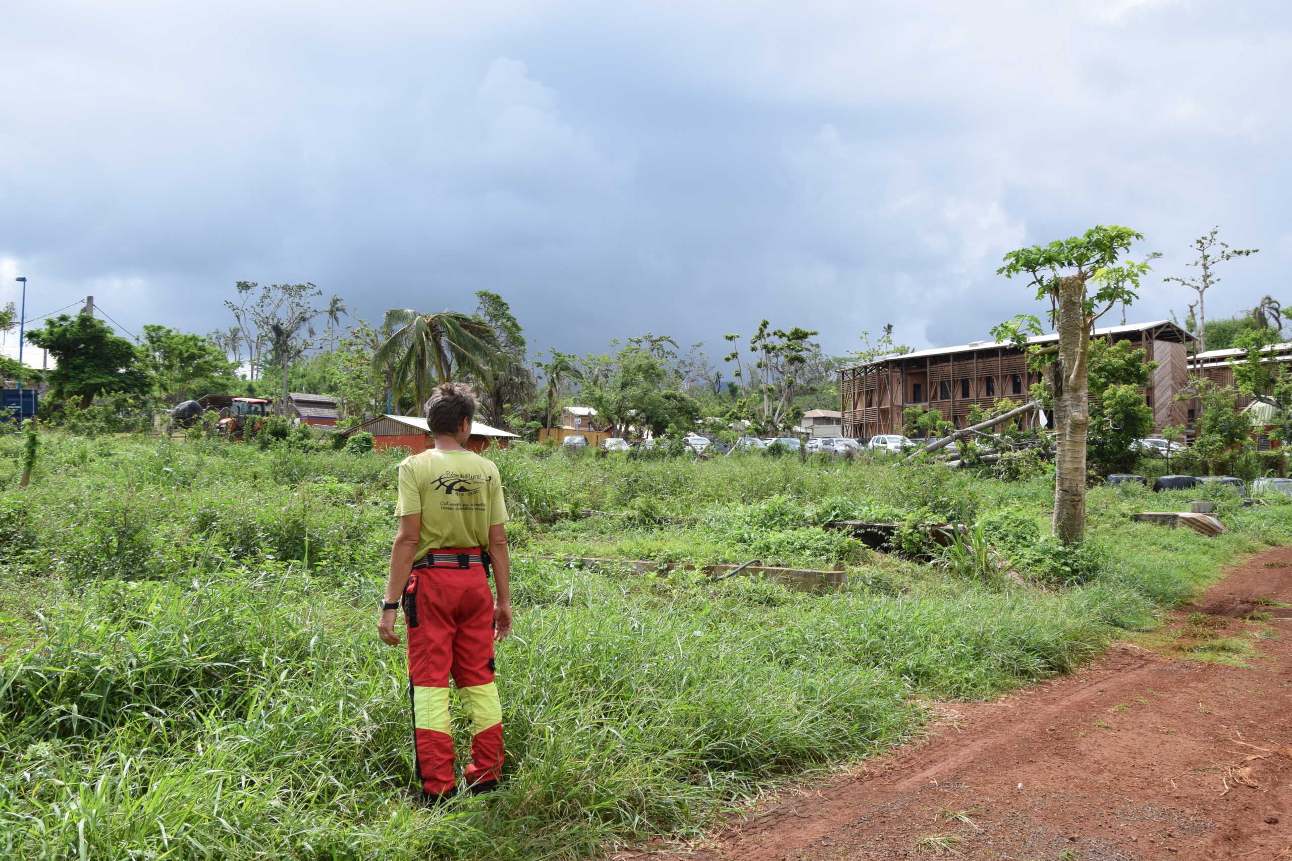 agriculture, bambou, serre, lycée agricole,