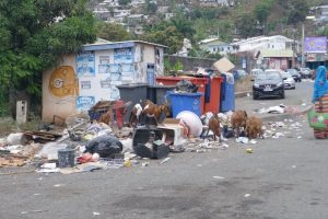 Mayotte, déchets, Kawéni,