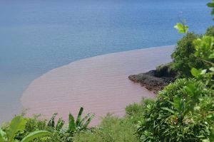 Carenco, IRD, Retailleau, Mayotte, France 2030