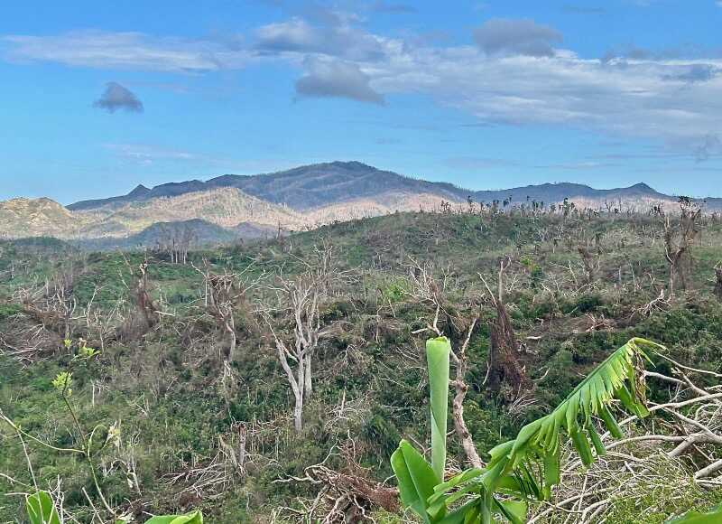 Chido, Emmanuel Valls, Mayotte, FARU, FSOM