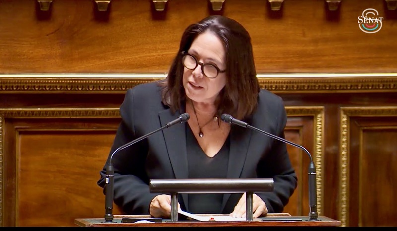 Sénat, Micheline Jacques, Mayotte