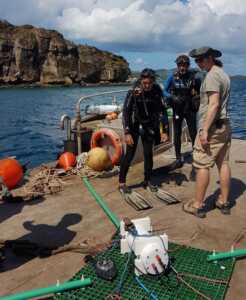 Mayotte, BRGM, géothermie, lagon,