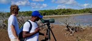 OFB, TeMeUm, Outre-mer, Mayotte