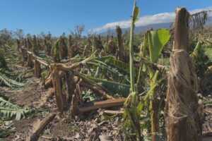 La Réunion, visite officielle, Manuel Valls, Ministre des Outre-mer, cyclone, Garance, Saint-Denis