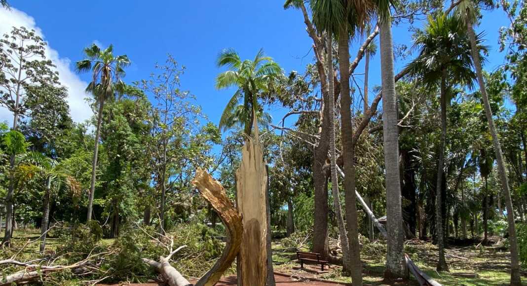 La Réunion, Garance, cyclone,