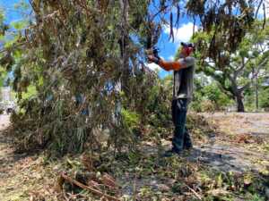 La Réunion, Garance, cyclone,