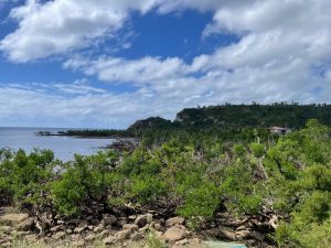 Atlas biodiversité, Grand Nord, CAGNM, GEPOMAY, environnement, Mayotte