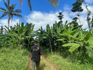 Bouyouni, piste longue, expropriation, développement, débat, Mayotte