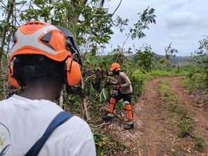Insertion, emploi, reconstruction, Fédération des entreprises d'insertion, Mayotte