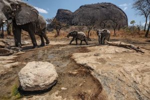 Mozambique, Niassa,