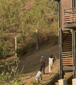 Mayotte, Passamainty, délinquants, Manguiers II,