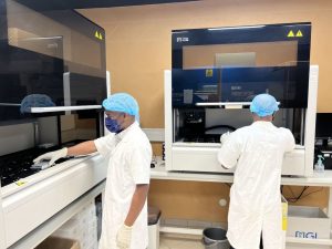 Mayotte, chikungunya, laboratoire Biogroup, Mayobio,