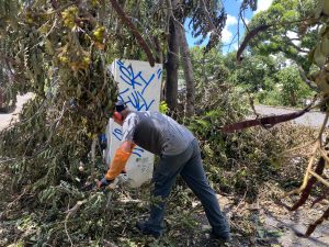 La Réunion, Grand Raid, parcours, cyclone Garance,
