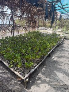 Lycée Coconi, mobilité, Beira, Mozambique, Interreg