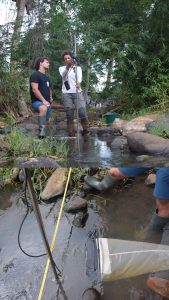 MNE, Océa Consult', cabot à nageoires rouges, rivières, Mayotte