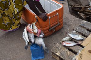 Majicavo-Koropa, pêche, filière, ponton, Koungou, Mayotte