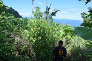 Braconnage, Oulanga Na Nyamba, tortues marines, Chido, Mayotte
