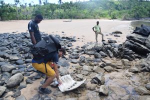 Braconnage, Oulanga Na Nyamba, tortues marines, Chido, Mayotte