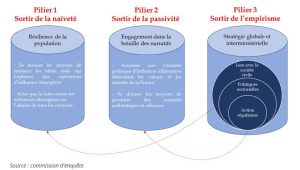 Sénat, rapport, influences étrangères, réseaux sociaux, Mayotte
