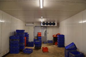 UCOOPAM, COOPAC, Combani, agriculture, producteurs, fruits, légumes, Mayotte