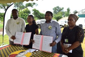 Abeilles, FMAE, Département, Mayotte