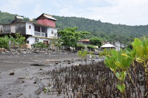 Jardin Océanique de Mayotte, mangrove, palétuviers, protection, Mayotte