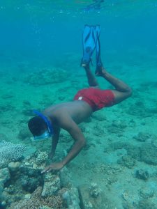 Jardin Océanique de Mayotte, mangrove, palétuviers, protection, Mayotte