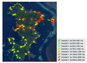 Mayotte, chikungunya, ARS, LAV,