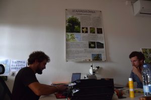 Conservatoire botanique de Mascarin, Dembéni, pépinière, Mayotte