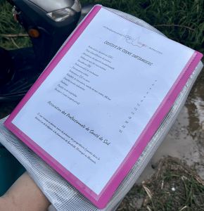 Mayotte, dossier, infirmier, CPTS, 