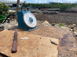 Pêche, M'tsapéré, blocage, vente, pécheur, Mayotte