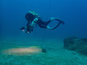 Mayotte, herbiers, lagon, dugong, Naturalistes, Créocean OI, plongée sous-marine, 