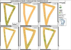 Mayotte, herbiers, lagon, dugong, Naturalistes, Créocean OI, 