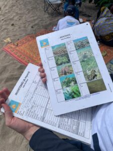 Poissons, coraux, récif, lagon, BTS, GPN, Mayotte, observation, biodiversité, Parc Naturel Marin, Mayotte, tombant