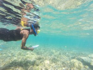 Poissons, coraux, récif, lagon, BTS, GPN, Mayotte, observation, biodiversité, Parc Naturel Marin, Mayotte, tombant