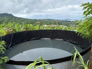 GBH, Super-Novae, filière, agricole, aide, Chido, reconstruction, équipements, accès, eau, agriculture, exploitants, Mayotte
