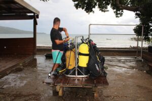 Mayotte, plongée, Abalone,