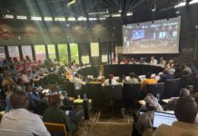 Assemblée plénière : débats sur le camp de Tsoundzou, la fibre et le port de Longoni