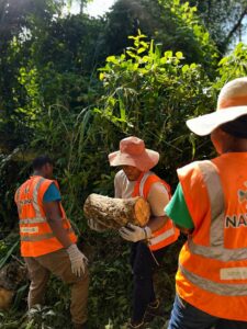 Nayma, association, insertion, forêt, départementale, Mayotte